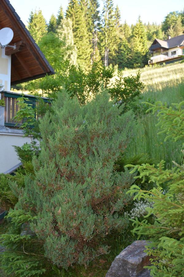 Ferienhaus Kristina/Hebalm Deutschlandsberg Exterior foto